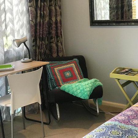 Cosy Caversham Retreat Dunedin Exteriér fotografie
